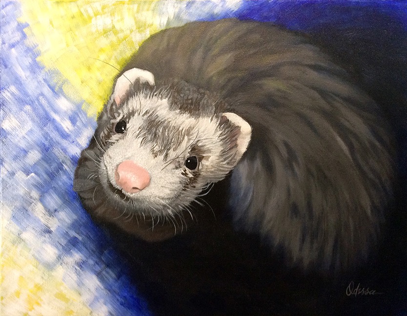 Appa ferret