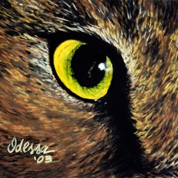 cat_eye