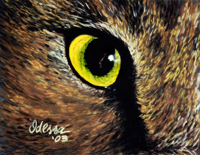 cat_eye