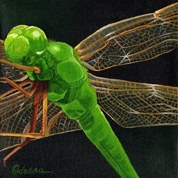 Green Dragonfly