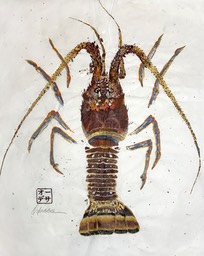 Lobster-Florida