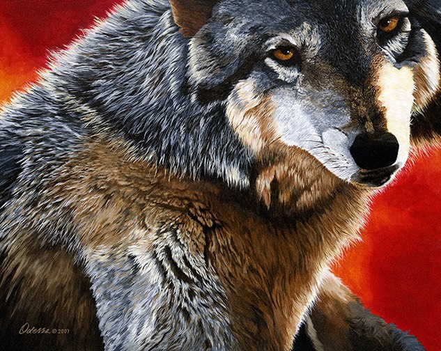 This is My Space. A wolf portrait with a red background.