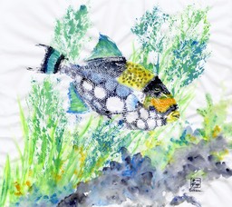 Triggerfish-2