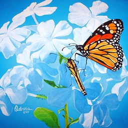 white_plumbago_monarchs