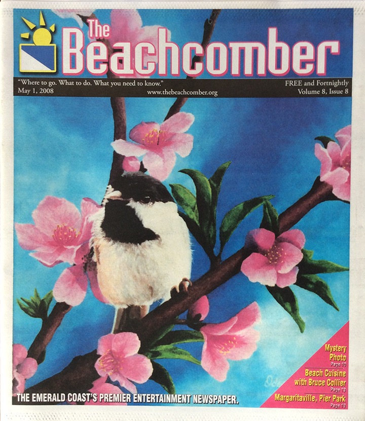 Beachcomber 2008 cover