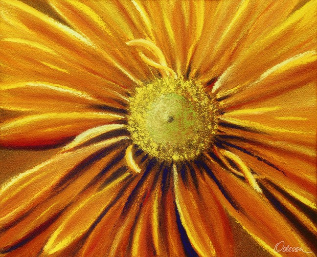 orange gerbera