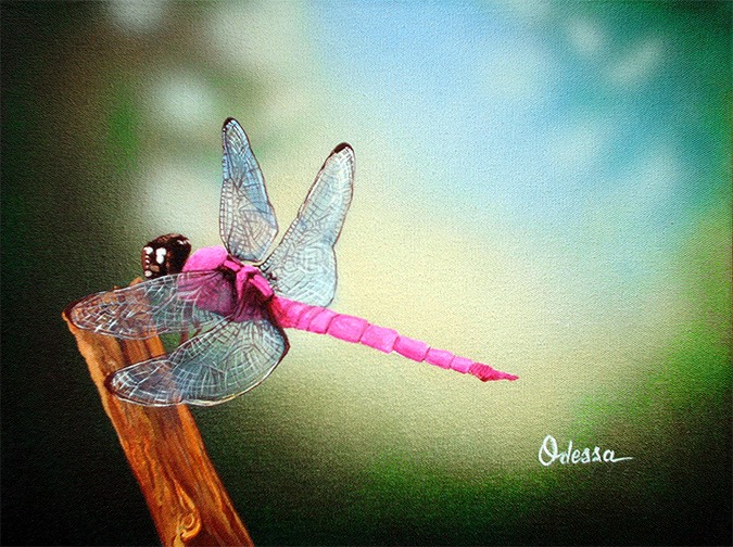 pink_dragonfly