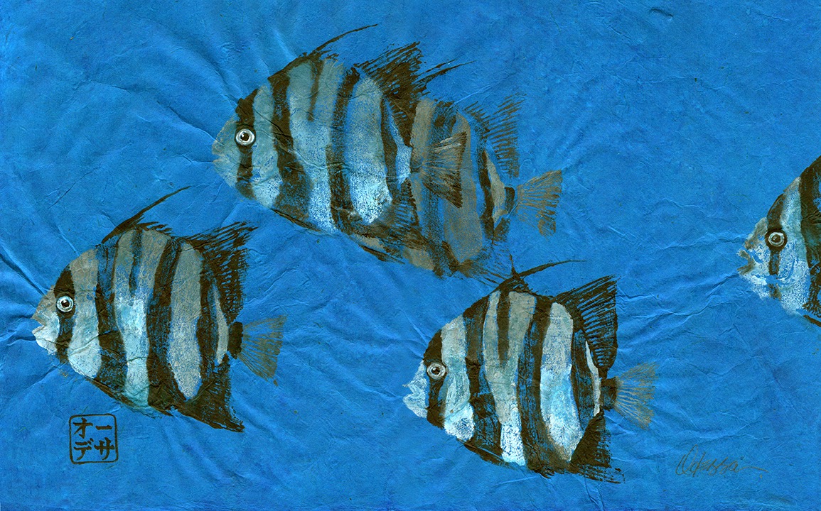 Spadefish-school-blue