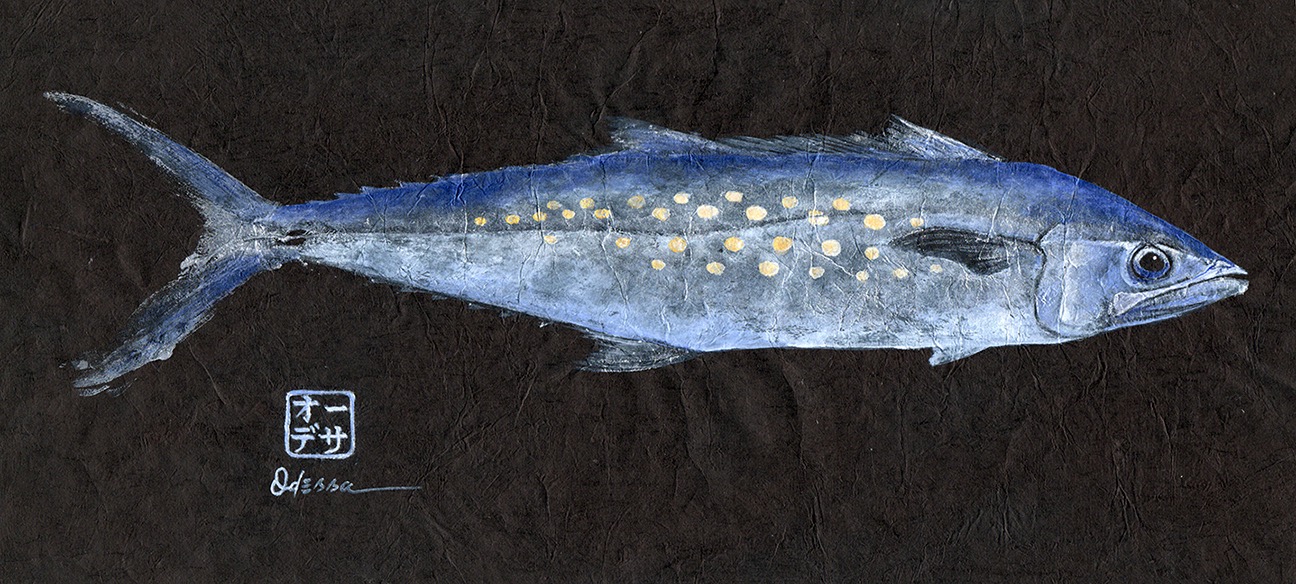 SpanishMackerel