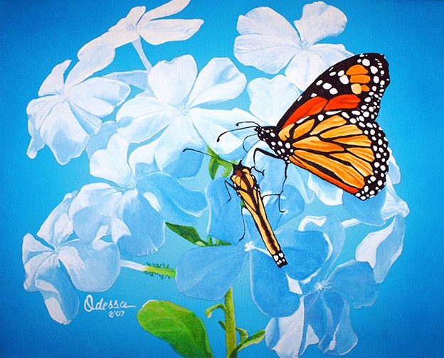 white_plumbago_monarchs